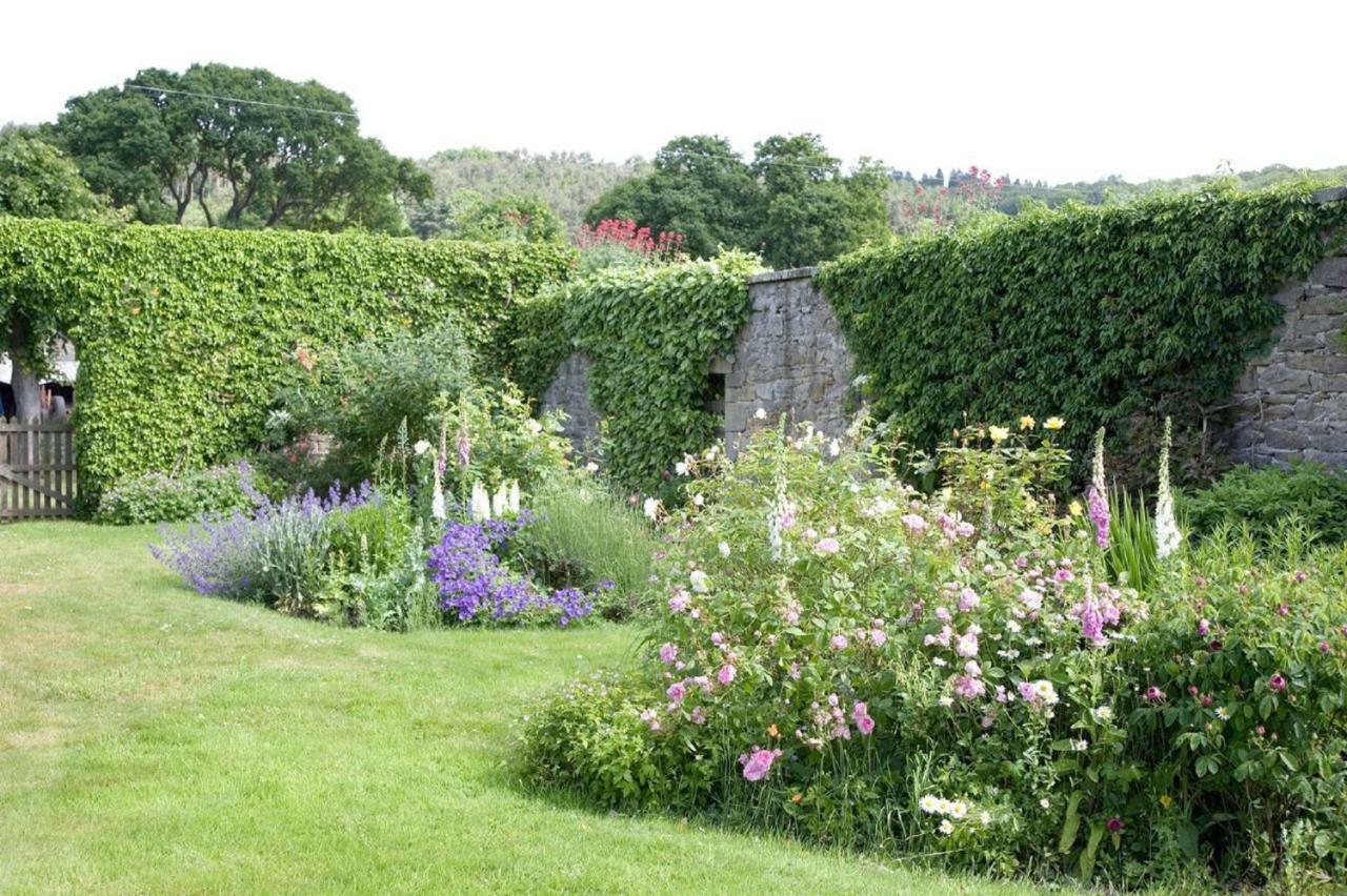 Anick Grange Farm B&B ヘクサム エクステリア 写真
