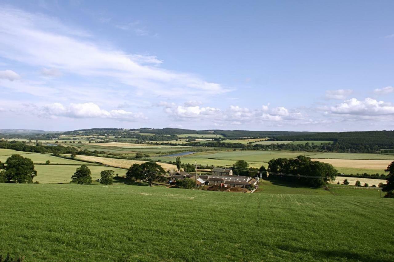 Anick Grange Farm B&B ヘクサム エクステリア 写真